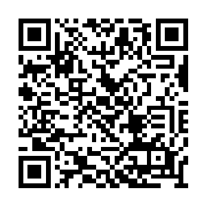 如果不是亲眼看到这个域界是从他的体内飞出的二维码生成