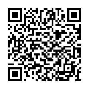 如果不是他下狠心把那个洞周围的翅膀都给挖了二维码生成