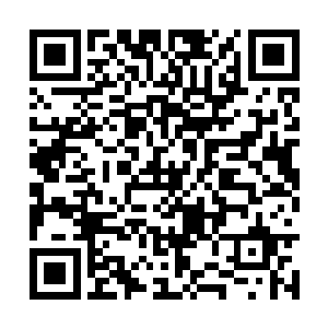 如果不是他的兵器比自己的君主剑差了好几个等级二维码生成