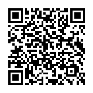 如果不是他能清晰的感受到自己握住了剑柄的话二维码生成