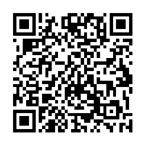 如果不是他那个母亲没有空闲这场婚宴就不会是他来参加二维码生成