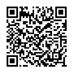 如果不是你这个疯子不管三七二十一要闯入这里二维码生成