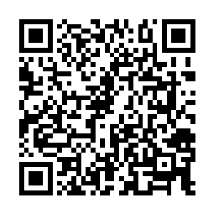 如果不是冥凤在运用命运石板逼他们做出抉择的话二维码生成