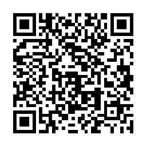 如果不是受到了米肯西法师遗留下来的法阵的压制二维码生成