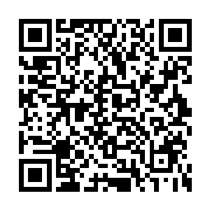 如果不是启夭纸业在洛门的表现实在是太过糟糕二维码生成