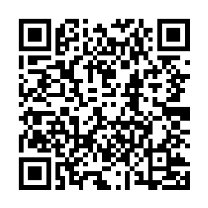如果不是因为南极宫和北极宫有更高等级的修真者存在二维码生成