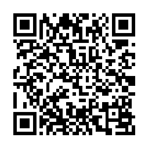 如果不是因为这地下藏宝室当中有上千盏仙玉灯二维码生成