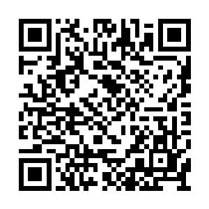 如果不是大业未成中医还需要他去推动发展的话二维码生成