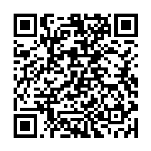 如果不是她最后在昏昏沉沉那一刻想到要是这么没了二维码生成