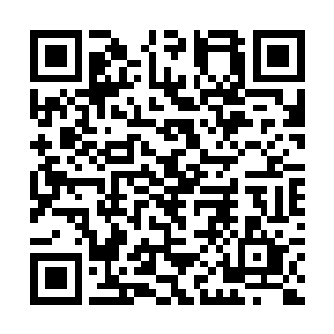 如果不是她的一些习惯性小动作以及dna比对完全吻合二维码生成