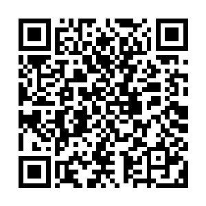 如果不是孙悟空叫来了眼前这无名法师和菩提祖师保护他们的话二维码生成