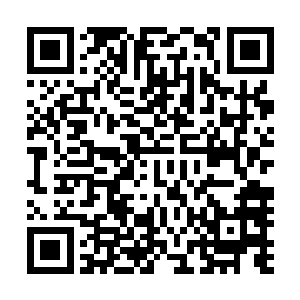 如果不是对伊布的实力和自己的反应能力有绝对的信心的话二维码生成