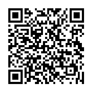 如果不是对方主动提出自己是无论如何都不会问出来的二维码生成