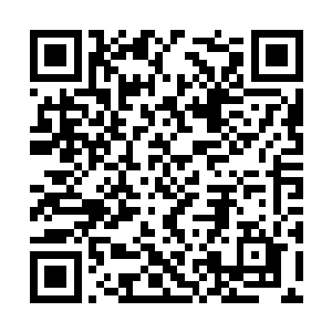 如果不是张璐涵最后急中生智想出了个补救的办法二维码生成