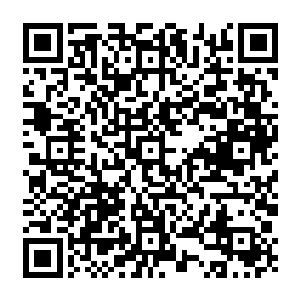 如果不是当初的那一份的果断两人之间也许就不会有今天这种纯而浓的师兄妹情感了二维码生成