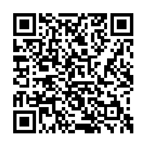 如果不是当年自己的儿子在酒吧里跟人发生冲突二维码生成