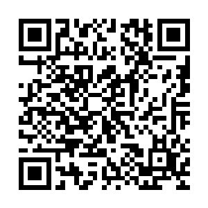 如果不是彼岸花自己找死想要侮辱不周山的形象从而被震死的话二维码生成