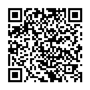 如果不是忌惮荒古祭坛上积淀了不知道多年的力量二维码生成