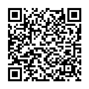 如果不是我花了三生三世的时间去不断的转世轮回二维码生成