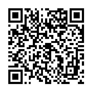 如果不是有属性上的压制以及多种强制性的逃脱技能的话二维码生成