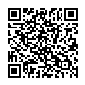 如果不是有灭世双蛇源源不断的力量从虚灵界中传来二维码生成