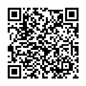 如果不是有通天树树心的能量一直滋润着他的经脉二维码生成