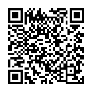 如果不是李锐他们当初在古战场发现了这只地狱大恶魔二维码生成