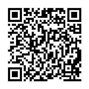 如果不是林铭体内的邪神幼芽和皓白之剑的震慑二维码生成