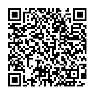 如果不是监守者大人最后神神叨叨自己在那里嘲笑201不懂用秀灵草二维码生成