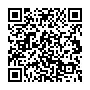 如果不是看在你曾经试图守护我的孩子们的份上二维码生成