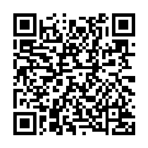如果不是看在当年驯服它们的笙箫合奏声的面子上二维码生成
