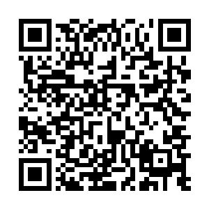 如果不是眼睁睁地看着那些无辜者的尸体躺在血泊之中二维码生成