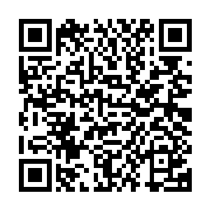 如果不是神弃一族的释白族长冒着与修罗神国开战的风险保下我二维码生成