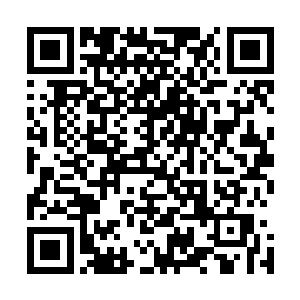 如果不是老夫人那会是谁有这么大的胆子把二姨娘接回来呢二维码生成