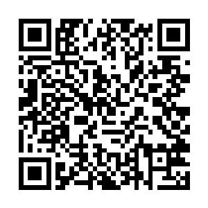 如果不是自己家族的高阶巫师对他们使用了奴隶契约二维码生成