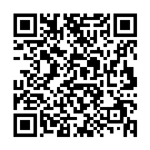 如果不是自己父亲硬是要把秦家的将来压在她的肩上二维码生成