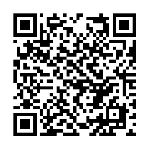 如果不是赵长枪当年托关系找人将他们送回到华国二维码生成