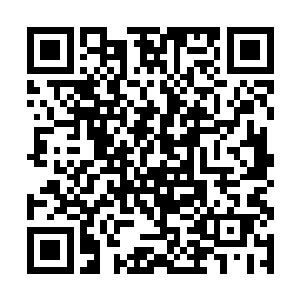 如果不是身上的衣服还湿漉漉的黏在身上有几分不爽二维码生成