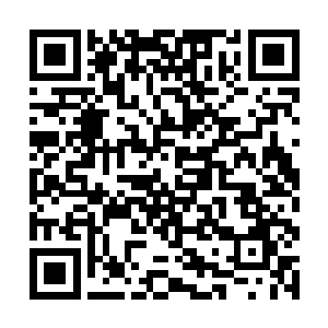 如果不是身怀药神星治疗术这种匪夷所思的神奇技能二维码生成