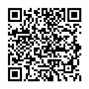 如果不是这个窟窿破坏了精灵王躯体的美感的话二维码生成