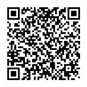 如果不是这份点心是赵佳瑶自己临时凭借着自己的能力搭配材料所制作二维码生成