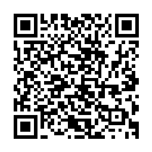 如果不是这位老先生让他过目了翻译过后的九阳铸神诀抄录本二维码生成