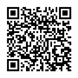 如果不是这枚胸针没有经过礼仪之神的神力长期温养的话二维码生成