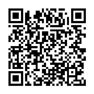 如果不是透视眼在最后关头看出了他出拳的轨迹二维码生成