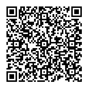 如果不是马文发狠屠了几头数量最少的黑龙还有一头被厄尔用来当成转移视线的替罪羊的红龙的话二维码生成