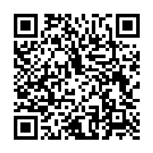 如果不是麻无忌的确在政法委书记位置上干得也很不错二维码生成