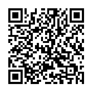 如果不服气的话你们可以去找我大风堡的堡主理论二维码生成