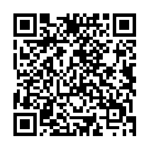 如果不赌这一把他今天无论如何也不可能活着离开这里了二维码生成