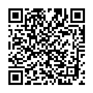 如果之前他们的顽强抵抗是因为觉得自己对付得了他们二维码生成