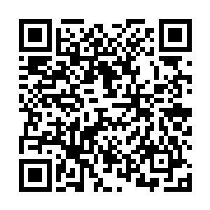 如果也能和蒋州城里蒋家的姑娘一样最后做了贵妃娘娘二维码生成